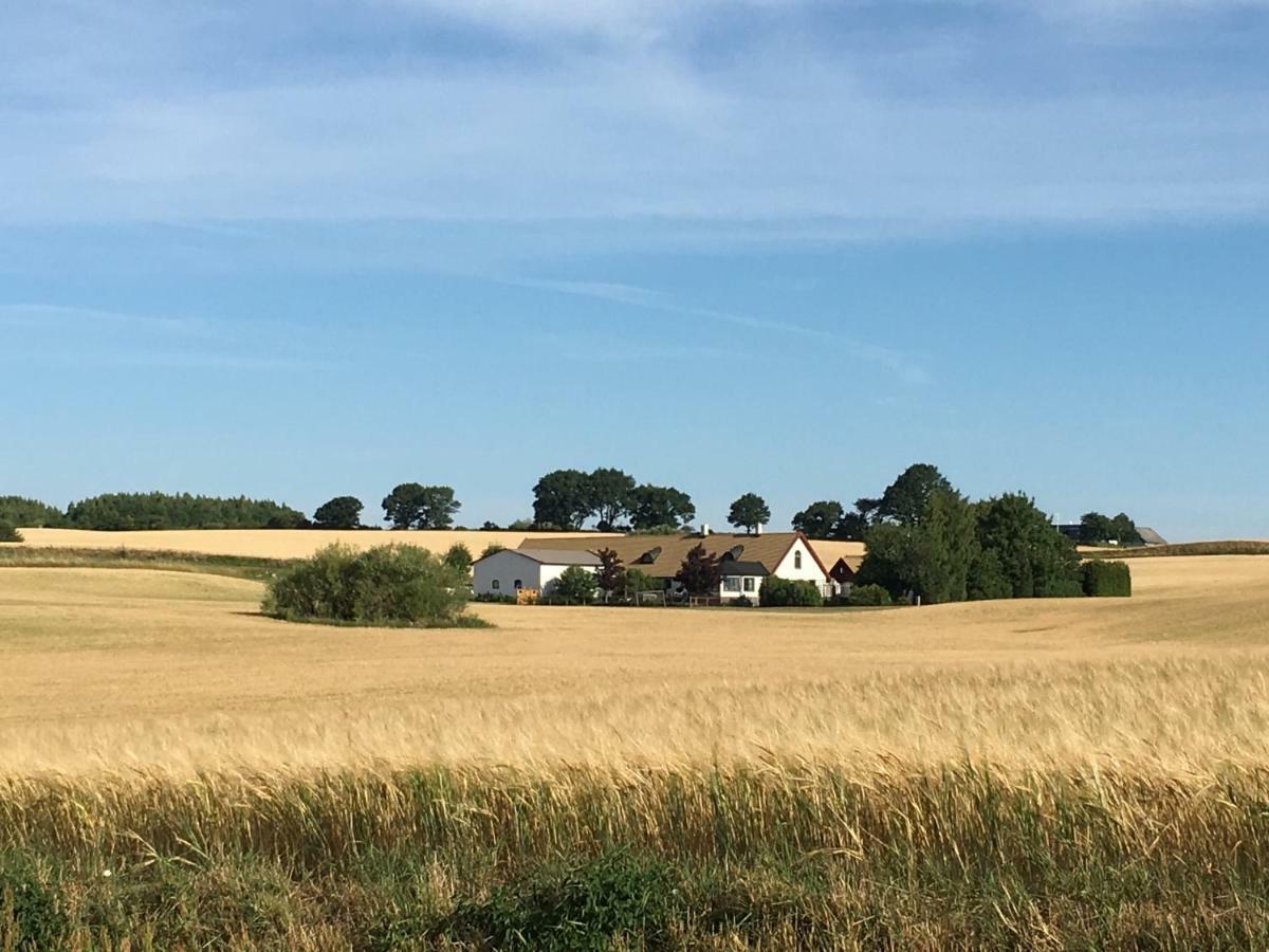 Stallet Pa Skarby Vakantiehuis Ystad